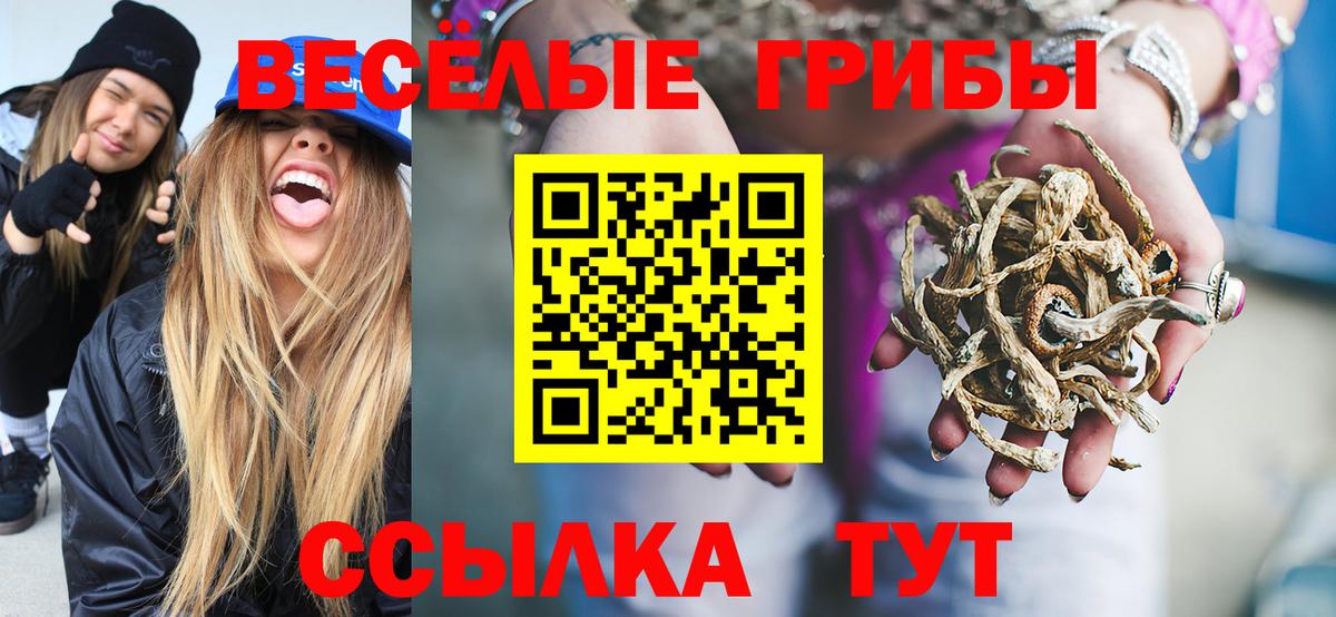 Галлюциногенные грибы ЛСД  Галлюциногенные грибы MAGIC MUSHROOMS  Дмитров  Вход с VPN 