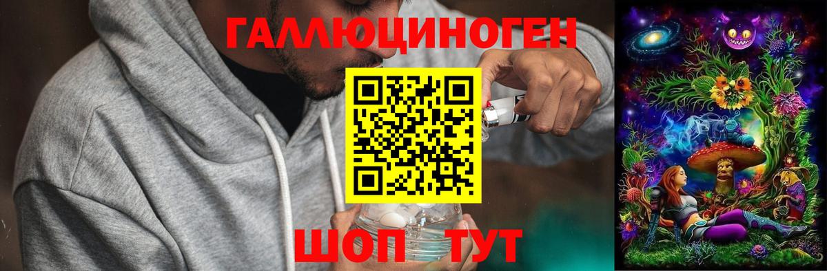 Галлюциногенные грибы GOLDEN TEACHER Дмитров
